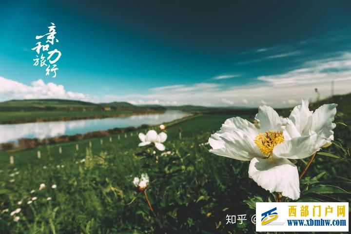 呼伦贝尔6日游详细攻略-呼伦贝尔旅游十大旅游景点推荐(图11) 呼伦贝尔6日游详细攻略-呼伦贝尔旅游十大旅游景点推荐(图11)