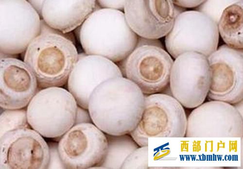 “小葱带你吃天下”——兴安盟寻味内蒙古,走进兴...(图23) “小葱带你吃天下”——兴安盟寻味内蒙古,走进兴...(图23)