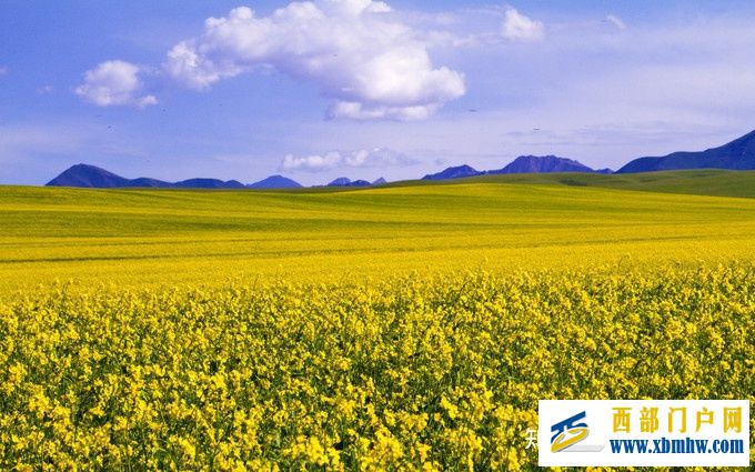 2021年呼伦贝尔旅游攻略,呼伦贝尔深度6日游,(景...(图8) 2021年呼伦贝尔旅游攻略,呼伦贝尔深度6日游,(景...(图8)