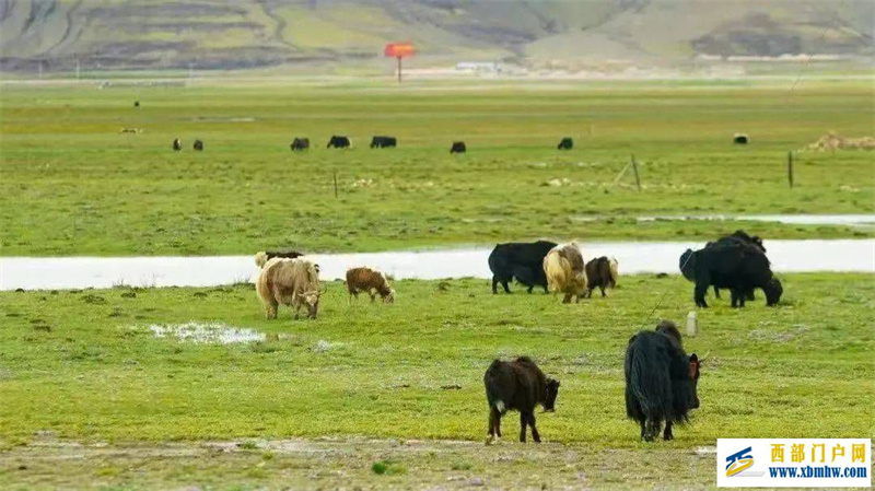 山南“本地游”奖励政策即将来袭!(图2) 山南“本地游”奖励政策即将来袭!(图2)