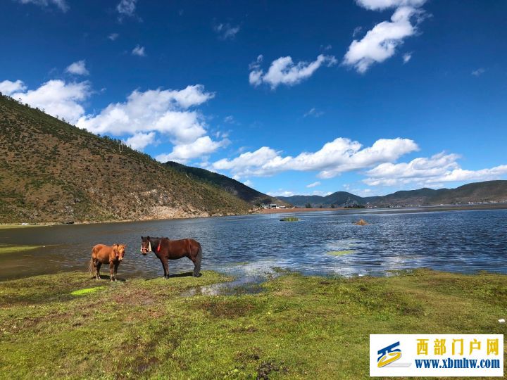 迪庆旅游景点——游遍中国(图9) 迪庆旅游景点——游遍中国(图9)