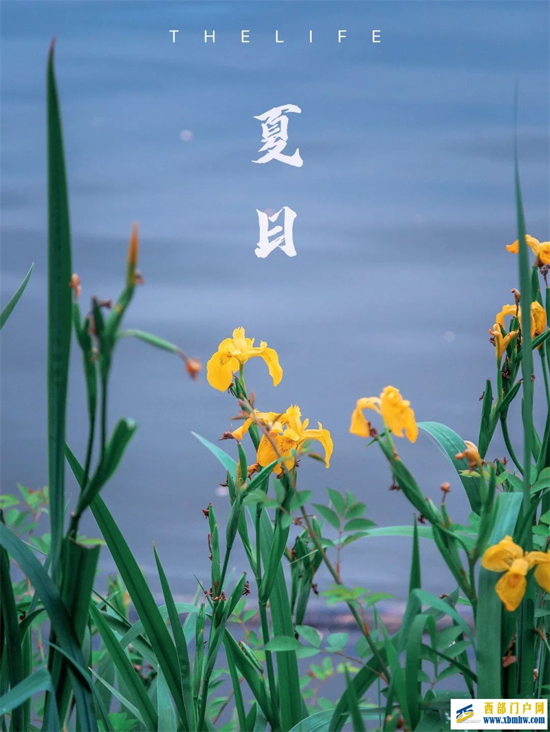 绝美,贵阳的夏天,来将快乐进行到底(图1) 绝美,贵阳的夏天,来将快乐进行到底(图1)