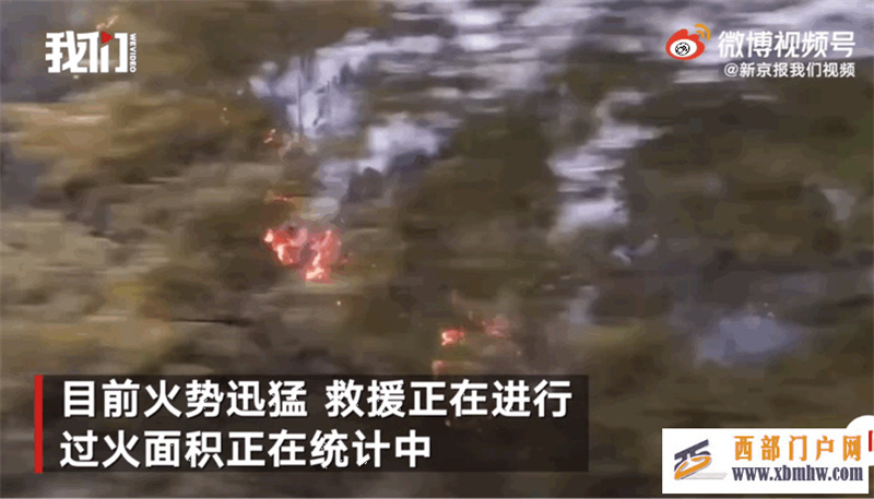 林芝突发大火!世事无常,我们等不起来日方长(图2) 林芝突发大火!世事无常,我们等不起来日方长(图2)