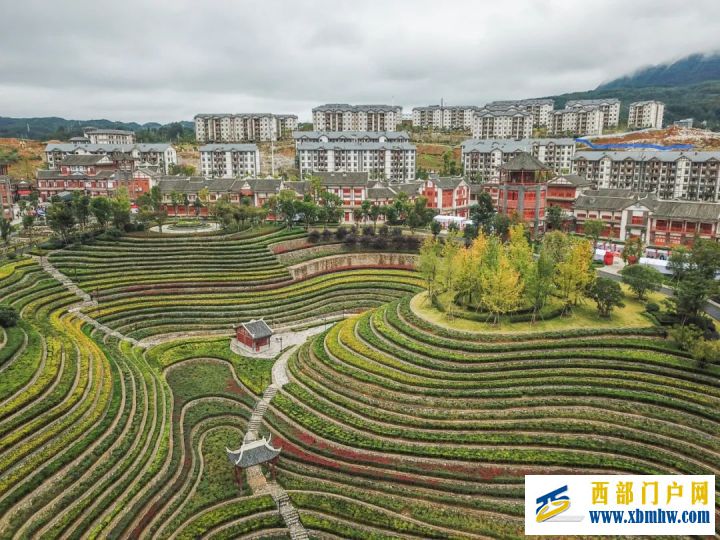 省委常委高配毕节意味着什么(图1) 省委常委高配毕节意味着什么(图1)