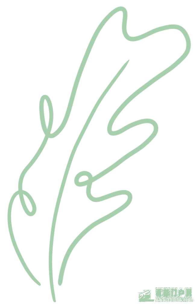 图说防城港张大进镜头里的防城港(图4) 图说防城港张大进镜头里的防城港(图4)