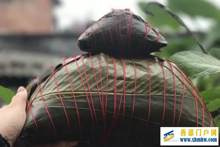 繁花似锦的广西钦州(图12) 繁花似锦的广西钦州(图12)