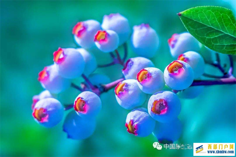 畅游黔东南黔东南隐世“桃花源”你去过几个?(图1) 畅游黔东南黔东南隐世“桃花源”你去过几个?(图1)