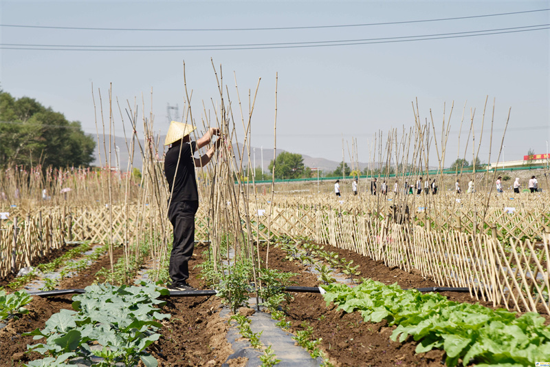 内蒙古乌兰察布农旅融合引领乡村振兴(图1) 内蒙古乌兰察布农旅融合引领乡村振兴(图1)