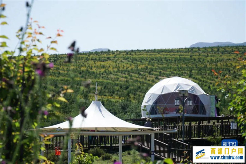 南京携手西宁,跨越山河共赴“宁宁之约”(图1) 南京携手西宁,跨越山河共赴“宁宁之约”(图1)