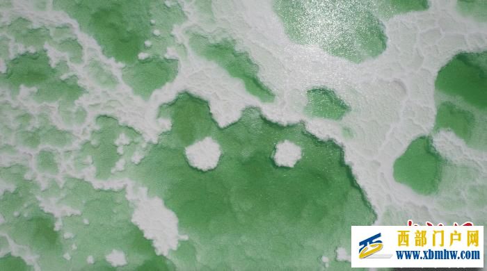 2023年产业“四地”赋能青海高质量发展学术研讨会在西宁召开(图2) 2023年产业“四地”赋能青海高质量发展学术研讨会在西宁召开(图2)