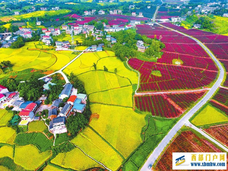 三大试点 寻找脱贫地区发展“快速通道”(图2) 三大试点 寻找脱贫地区发展“快速通道”「相关图片」