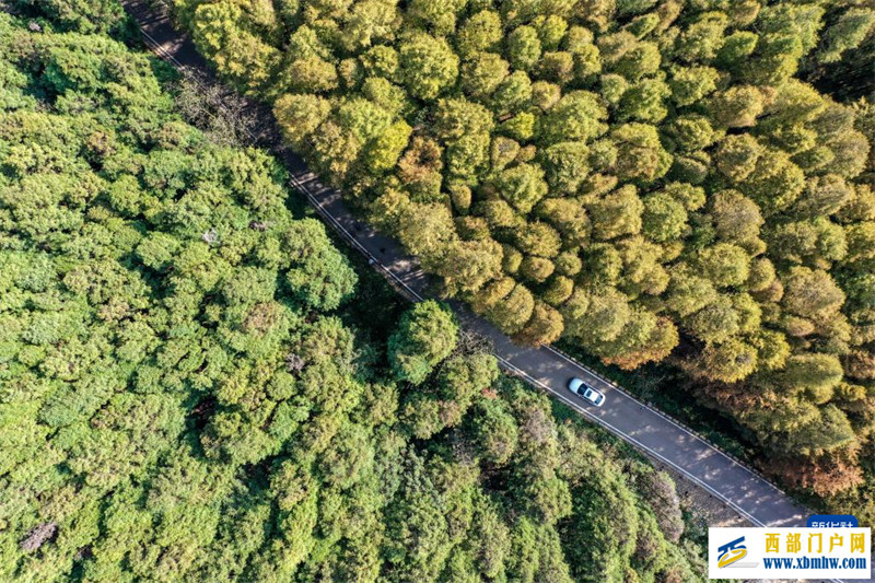 一条路开出新局面——重庆南川整合文旅资源促乡村振兴观察(图1) 一条路开出新局面——重庆南川整合文旅资源促乡村振兴观察(图1)