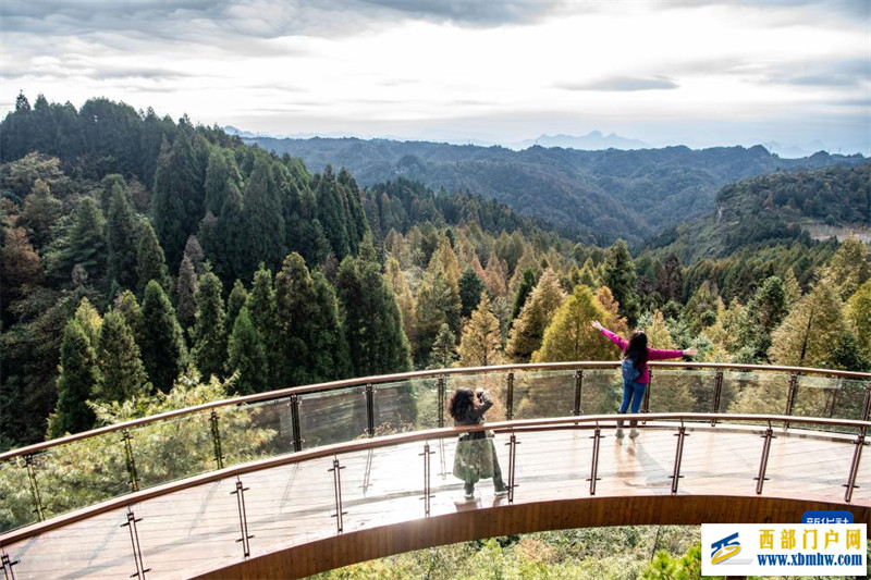 一条路开出新局面——重庆南川整合文旅资源促乡村振兴观察(图3) 一条路开出新局面——重庆南川整合文旅资源促乡村振兴观察(图3)