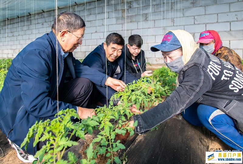 呼和浩特:打造人才“引擎” “赋能”乡村振兴(图2) 呼和浩特:打造人才“引擎” “赋能”乡村振兴(图2)