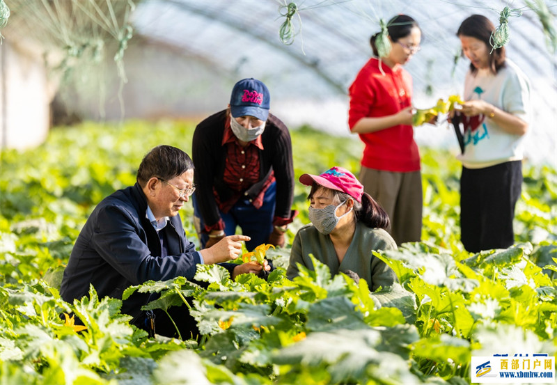 呼和浩特:打造人才“引擎” “赋能”乡村振兴(图3) 呼和浩特:打造人才“引擎” “赋能”乡村振兴(图3)
