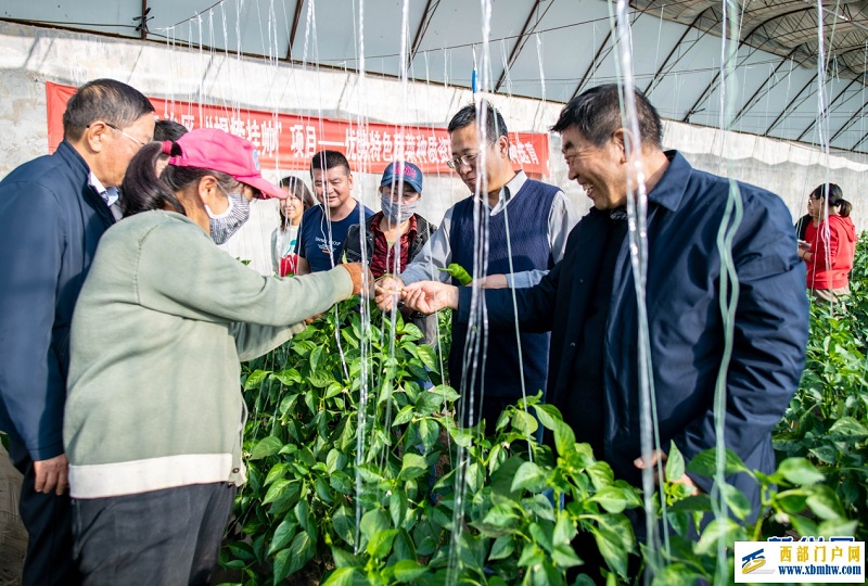 呼和浩特:打造人才“引擎” “赋能”乡村振兴(图5) 呼和浩特:打造人才“引擎” “赋能”乡村振兴(图5)