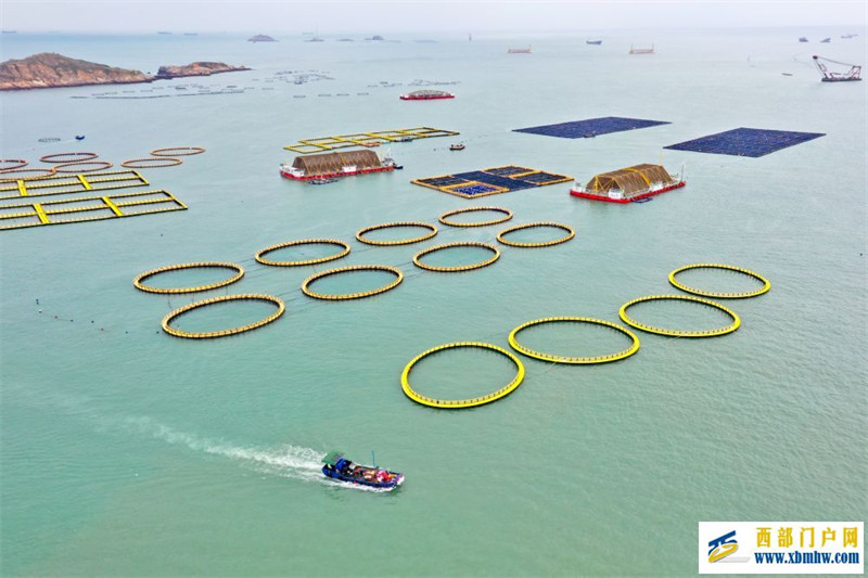 听“三农”工作新部署丨夯实粮食安全“压舱石”:要吃饱,也要吃好(图7) 听“三农”工作新部署丨夯实粮食安全“压舱石”:要吃饱,也要吃好(图7)