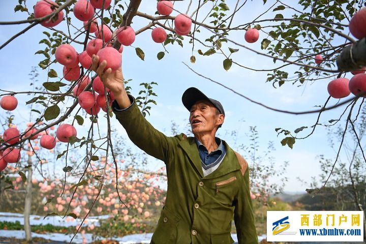 中国西部土特产走俏“一带一路”(图1) 中国西部土特产走俏“一带一路”(图1)