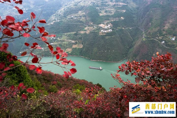 长江六日(图11) 长江六日(图11)