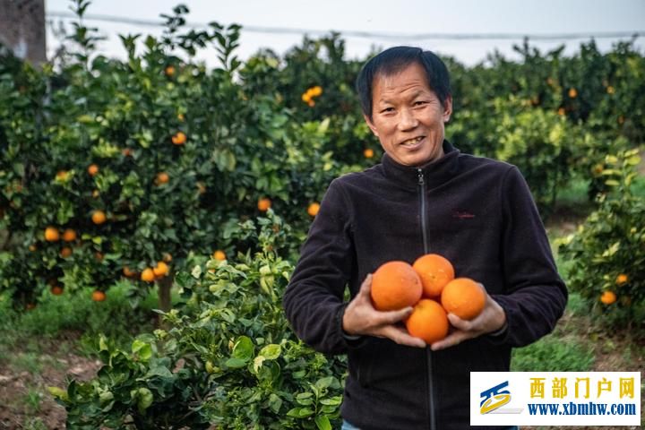 长江六日(图20) 长江六日(图20)