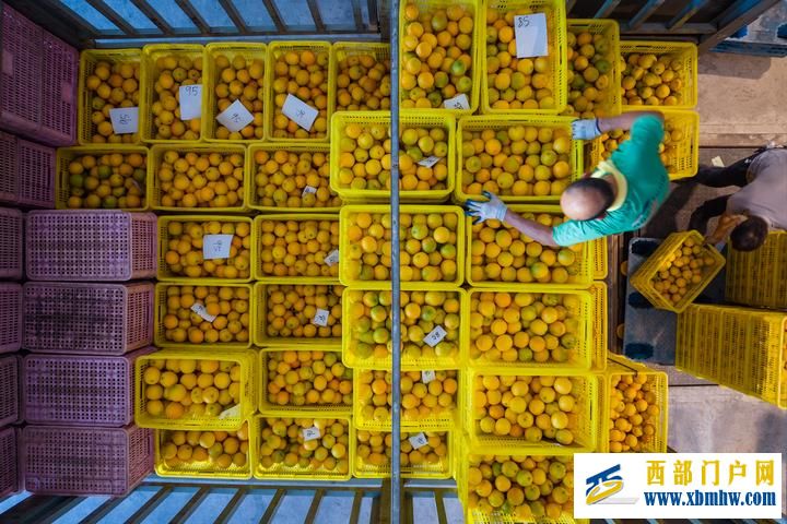 长江六日(图22) 长江六日(图22)