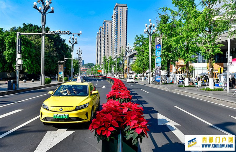 重庆:繁花扮靓山水城(图4) 重庆:繁花扮靓山水城(图4)