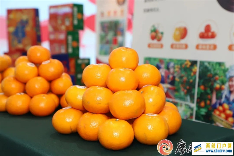 广西12个地理标志品牌入围中国区域品牌百强榜(图5) 广西12个地理标志品牌入围中国区域品牌百强榜(图5)