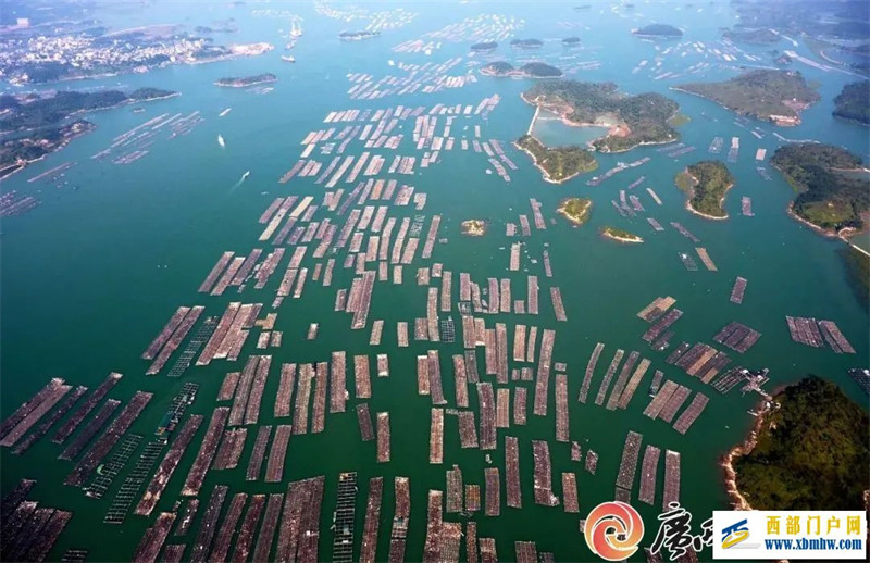 广西12个地理标志品牌入围中国区域品牌百强榜(图9) 广西12个地理标志品牌入围中国区域品牌百强榜(图9)