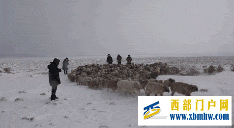 愿做戈壁一红柳 扎根边疆写青春(图5) 愿做戈壁一红柳 扎根边疆写青春(图5)