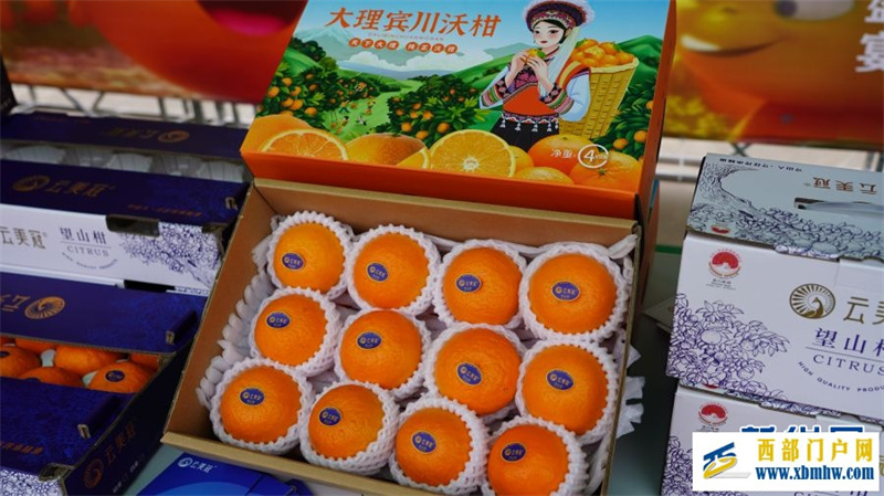 2024年云南宾川果品大会启动(图3) 2024年云南宾川果品大会启动(图3)