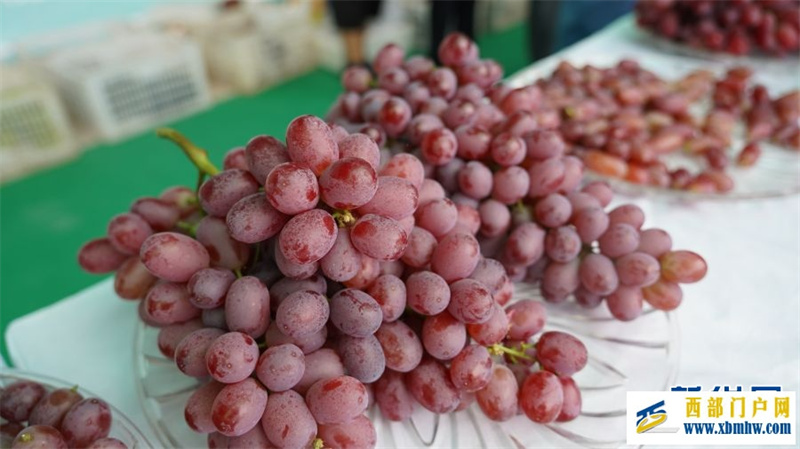 2024年云南宾川果品大会启动(图4) 2024年云南宾川果品大会启动(图4)