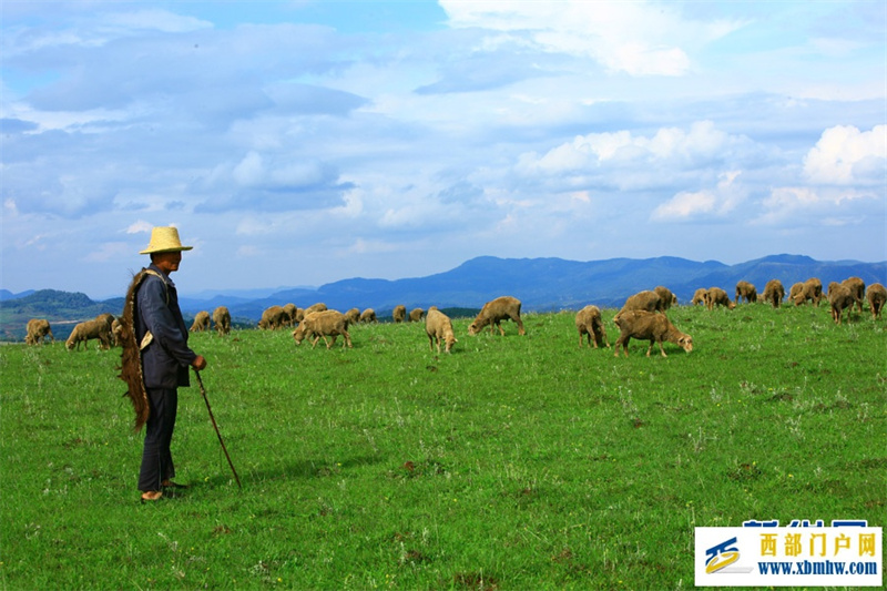 云南寻甸:高山草场引游人(图4) 云南寻甸:高山草场引游人(图4)