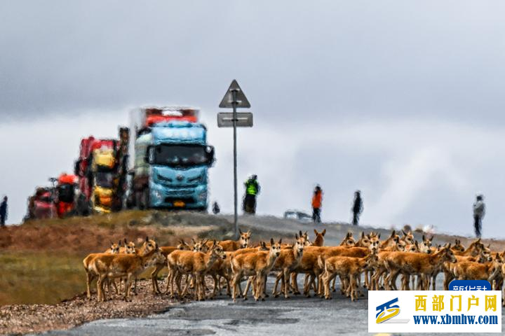 青海三江源:国家公园里的生态保护实践(图1) 青海三江源:国家公园里的生态保护实践(图1)