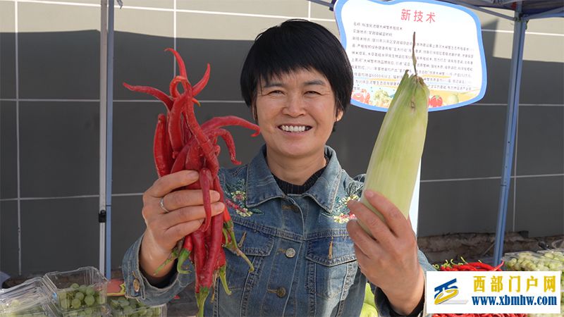 银川市兴庆区2024年中国农民丰收节系列活动启幕(图2) 银川市兴庆区2024年中国农民丰收节系列活动启幕(图2)