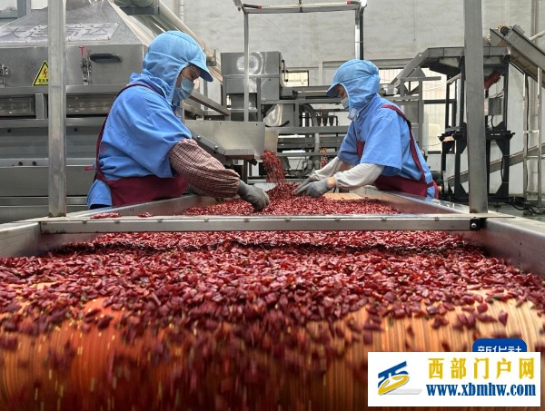 辣椒小镇的“全球买卖”(图2) 辣椒小镇的“全球买卖”(图2)