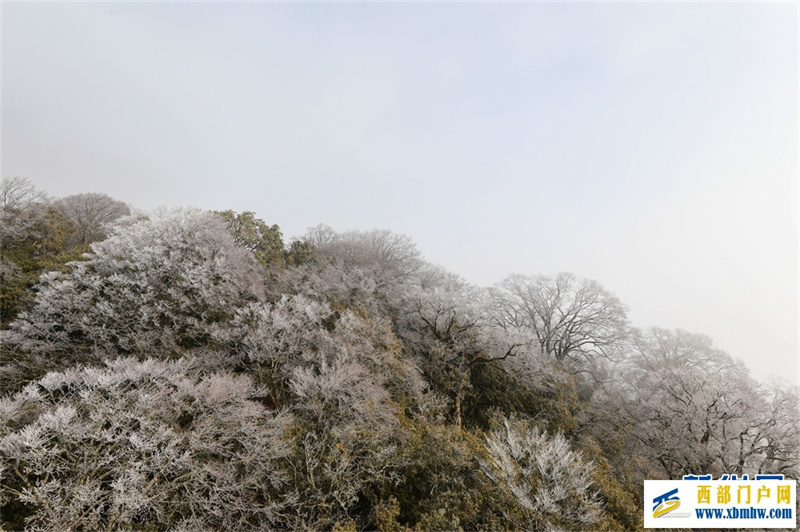 贵州梵净山:春日云海雾凇如画卷(图4) 贵州梵净山:春日云海雾凇如画卷(图4)
