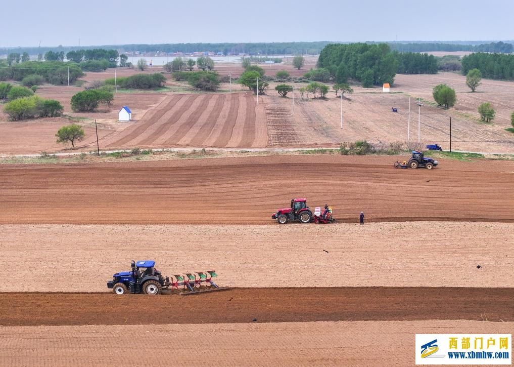 内蒙古东部粮仓通辽：2000万亩玉米播种正当时(图2)