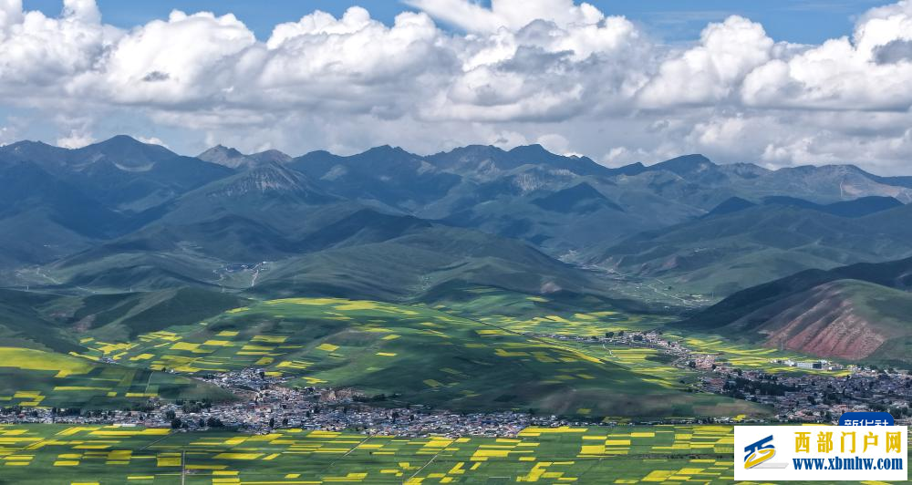 追花人家 甜在田间(图9) 追花人家 甜在田间(图9)