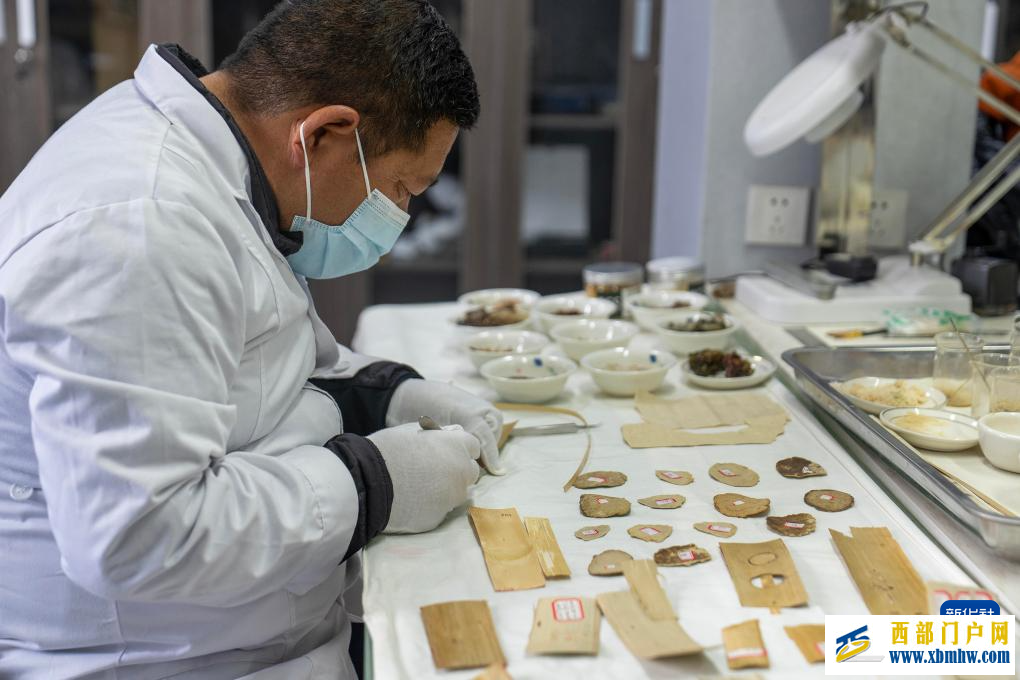 西藏布达拉宫:贝叶经实验性修复取得阶段性成果(图1) 西藏布达拉宫:贝叶经实验性修复取得阶段性成果(图1)