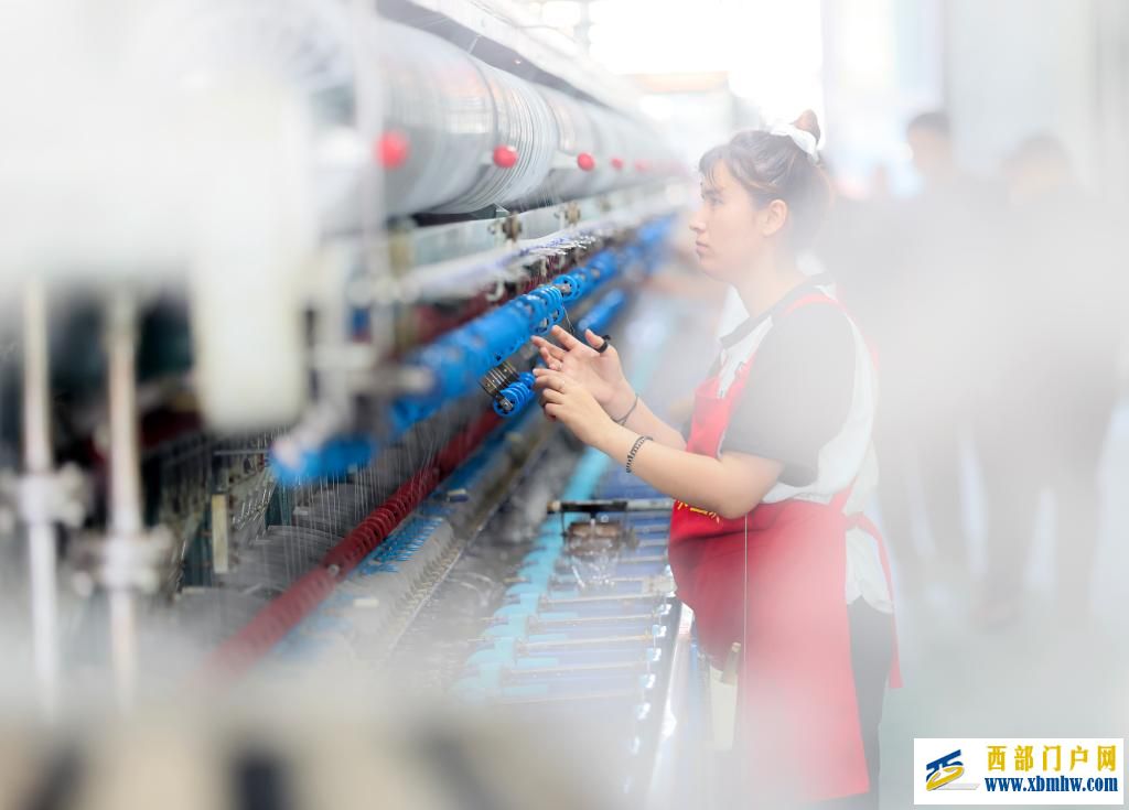 新疆乌苏:桑蚕茧产业拓宽乡村振兴新“丝”路(图4) 新疆乌苏:桑蚕茧产业拓宽乡村振兴新“丝”路(图4)