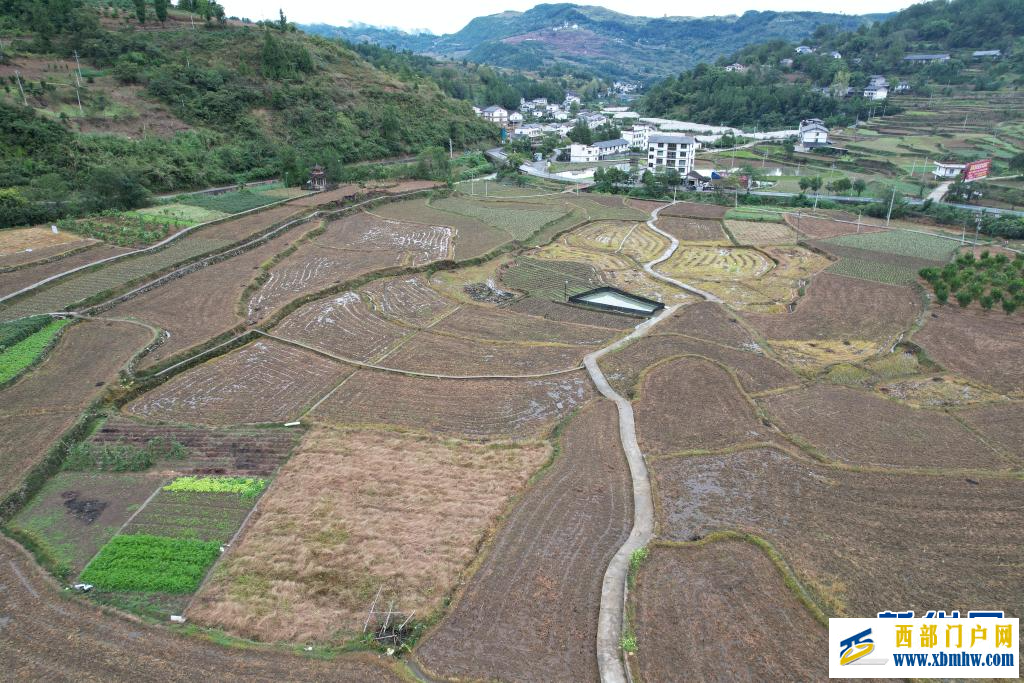 贵州道真:无人机播撒油菜籽 科技赋能秋种忙(图1) 贵州道真:无人机播撒油菜籽 科技赋能秋种忙(图1)